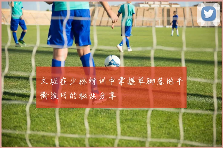 文班在少林特训中掌握单脚落地平衡技巧的秘诀分享